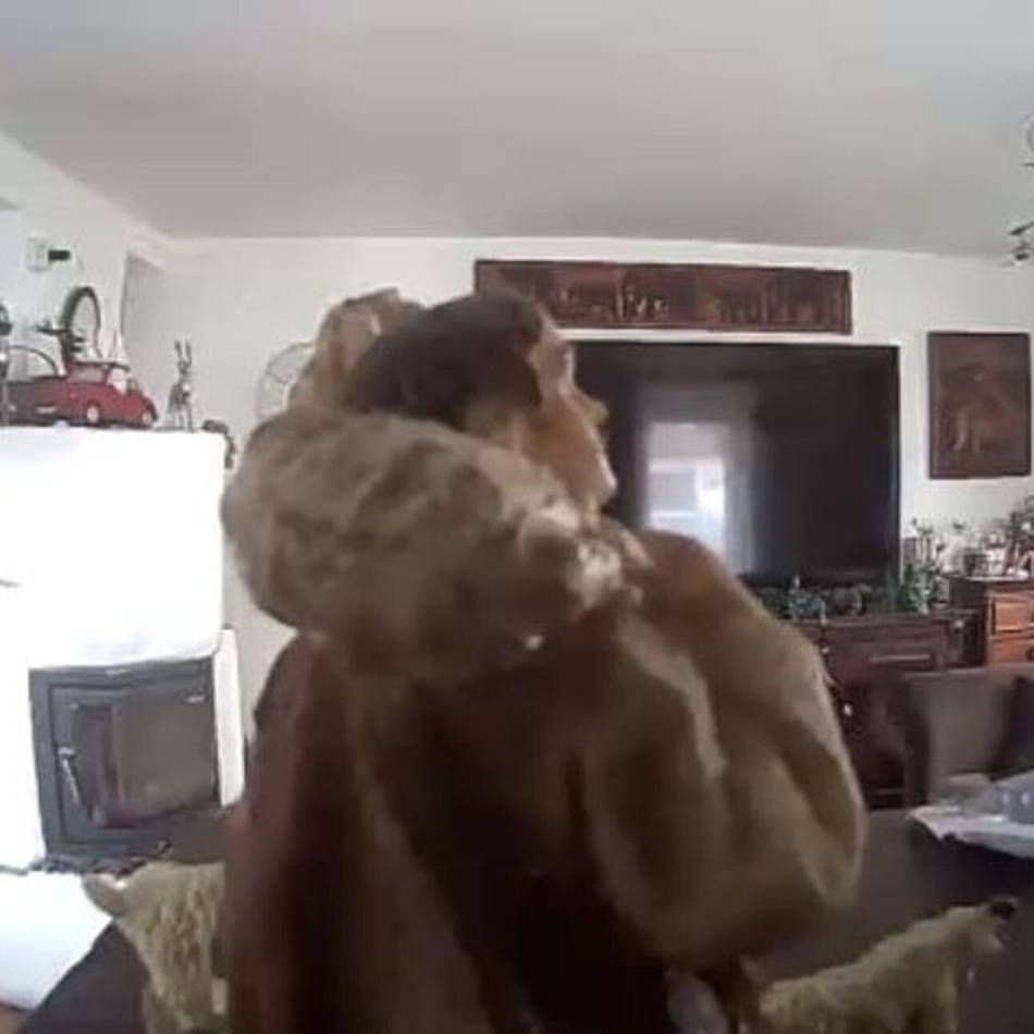 Weihnachtlicher Polizei-Einsatz: Frau meldet Einbrecher in der Wohnung – hätten Sie es richtig erkannt?