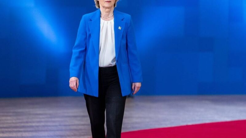 Freihandelsabkommen mit Südamerika: EU verschiebt Unterzeichnung von Mercosur-Deal