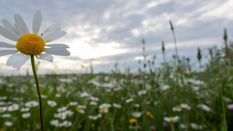 Vortrag in Hilden: So geht’s mit Zuversicht ins neue Jahr