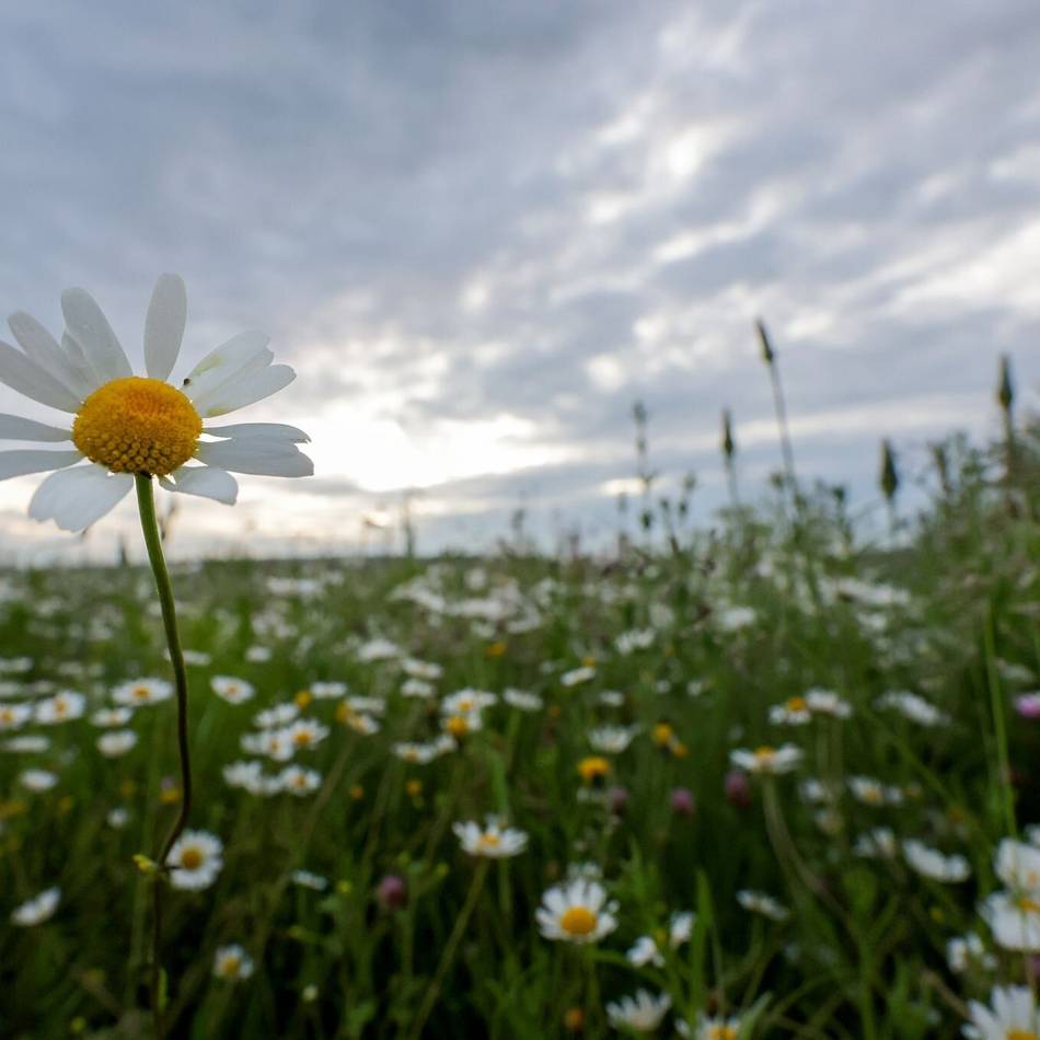 Vortrag in Hilden: So geht’s mit Zuversicht ins neue Jahr