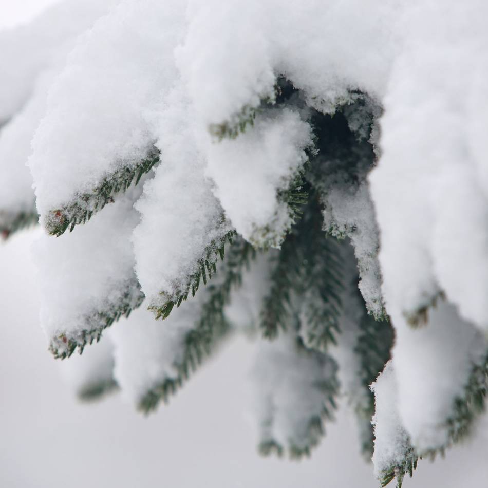 Neues Buch: Buch über eine Jahreszeit zum Genießen: „Wintern“