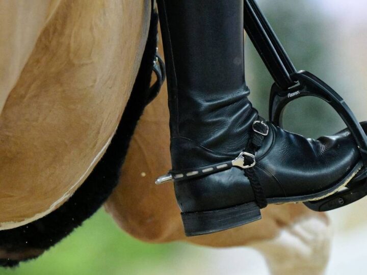 Reitsport: Umstrittene „Blut-Regel“: Ab 1. Januar wird es kompliziert