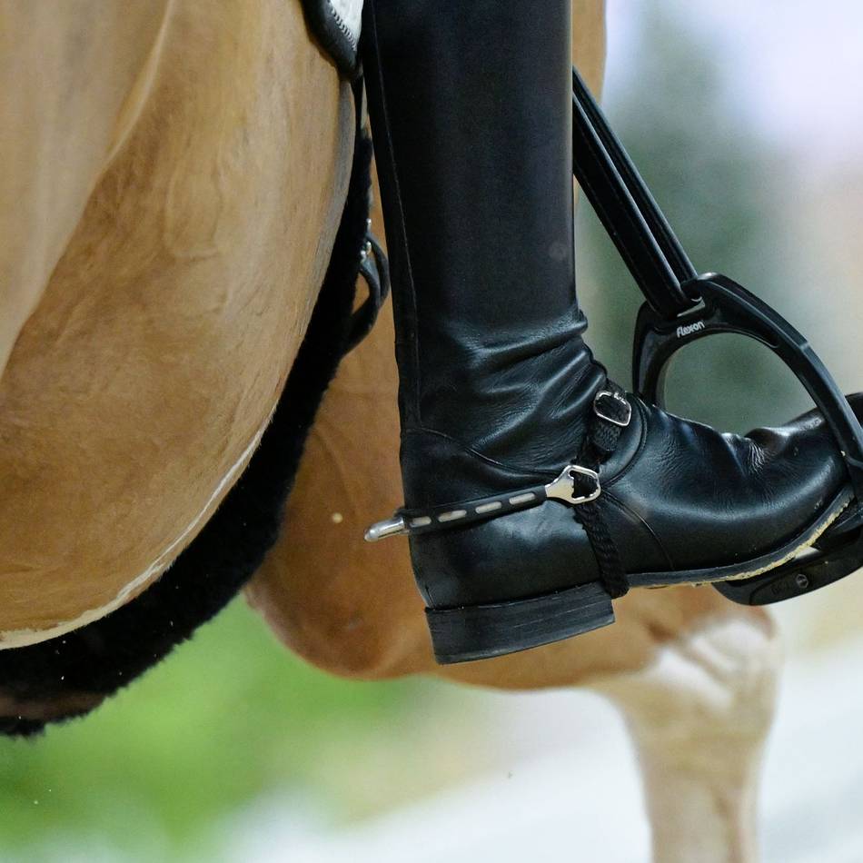 Reitsport: Umstrittene „Blut-Regel“: Ab 1. Januar wird es kompliziert