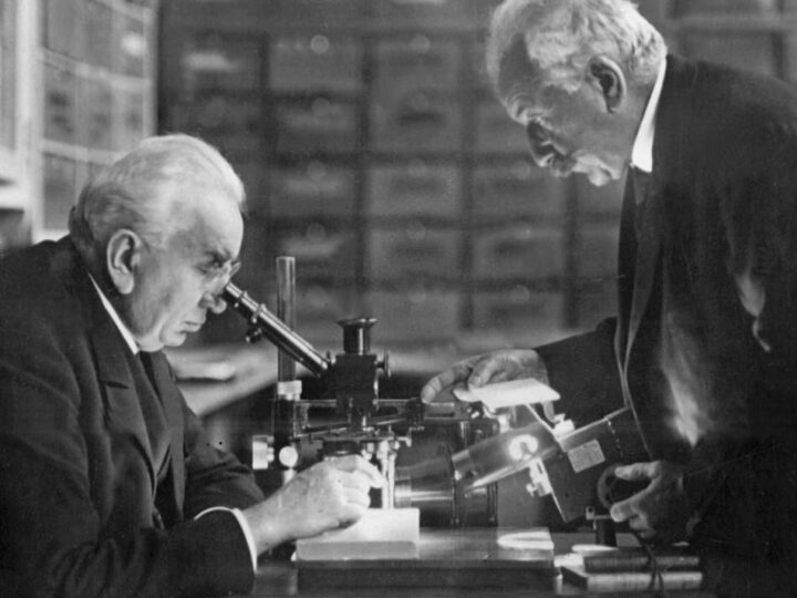 130 Jahre Kino: Wer erfand das Kino – Frankreich oder Deutschland?