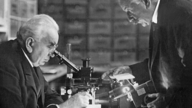 130 Jahre Kino: Wer erfand das Kino – Frankreich oder Deutschland?