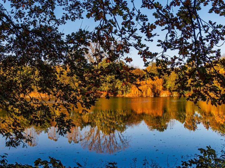 Weihnachten in Meerbusch: Ins neue Jahr mit Bildern von Meerbuschern