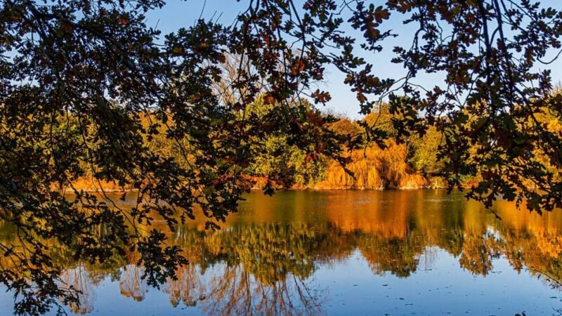 Weihnachten in Meerbusch: Ins neue Jahr mit Bildern von Meerbuschern