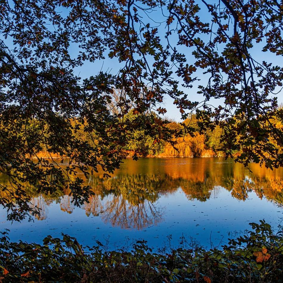 Weihnachten in Meerbusch: Ins neue Jahr mit Bildern von Meerbuschern