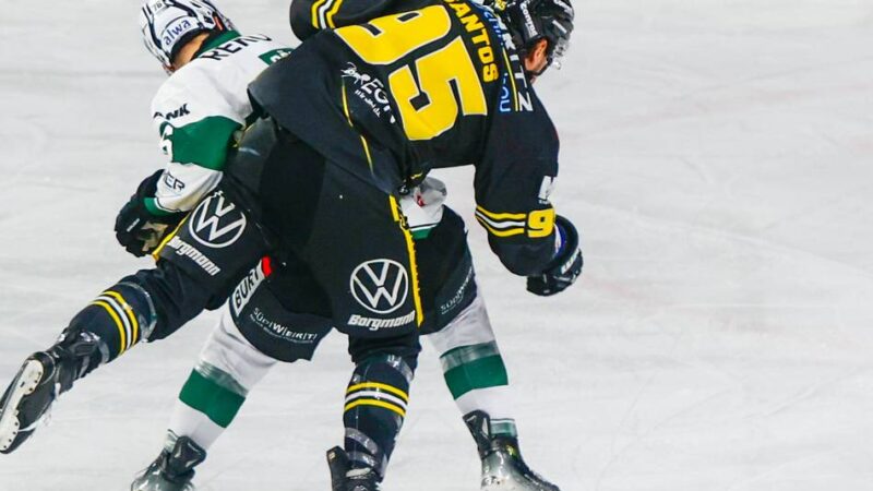 1:2 gegen Bietigheim: Referees lassen die Fans wüten – Pinguine unterliegen den Steelers