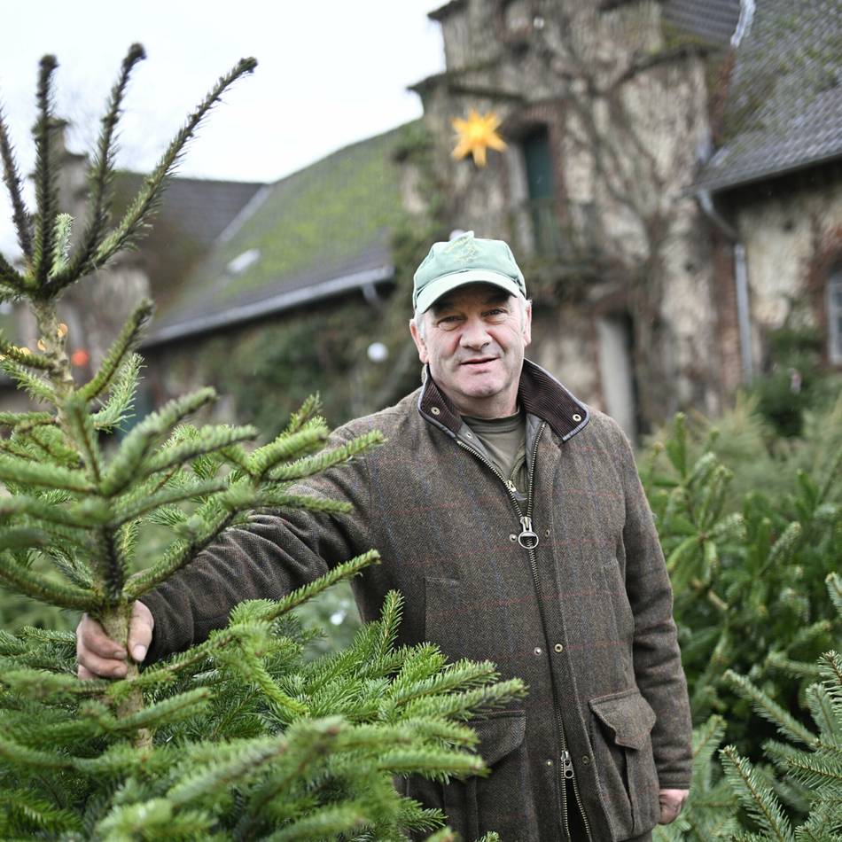 Weihnachtsmarkt in Düsseldorf: Am Schloss Garath gibt es Tannenbäume zum Selberschlagen