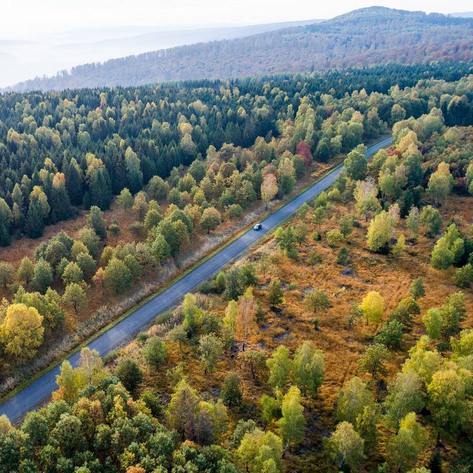 Klimawandel: Forschungsbericht: Ohne CO2-Entnahme keine Klimaneutralität