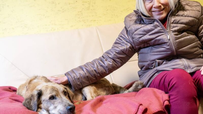 Tierschutz in Düsseldorf: Auch an Weihnachten wird im Tierheim gekuschelt