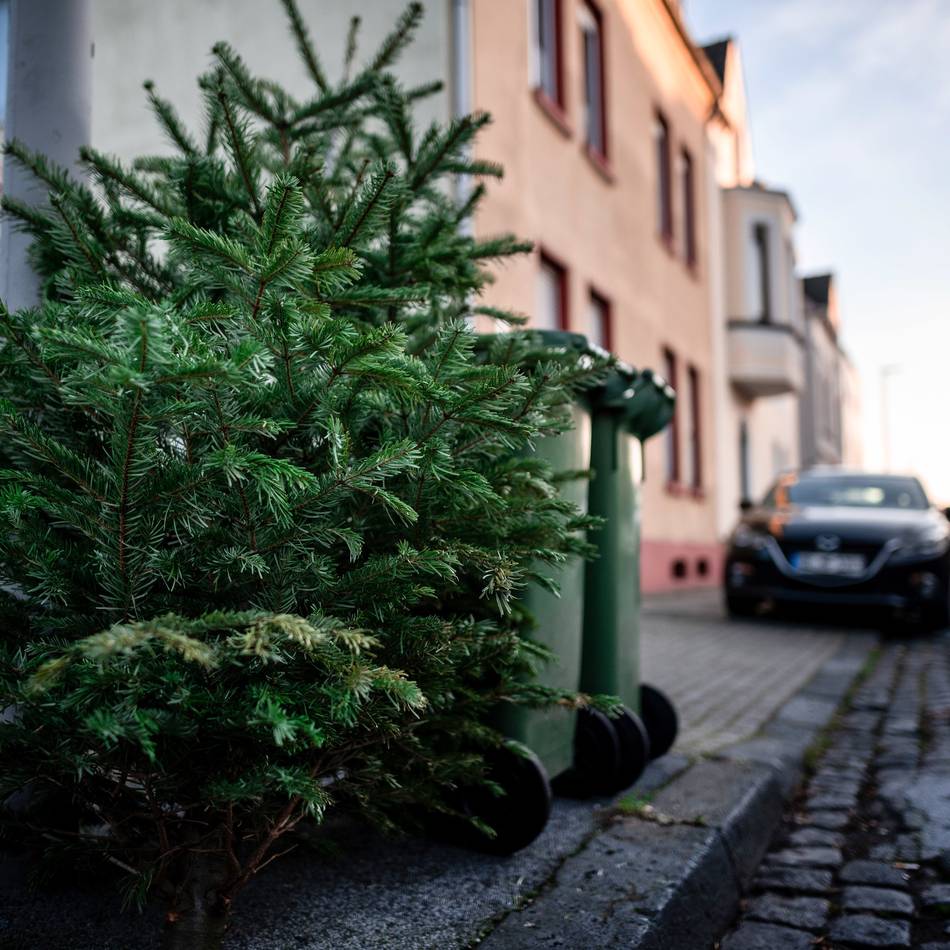Termine im Januar: Wann die Stadt Duisburg die Weihnachtsbäume abholt