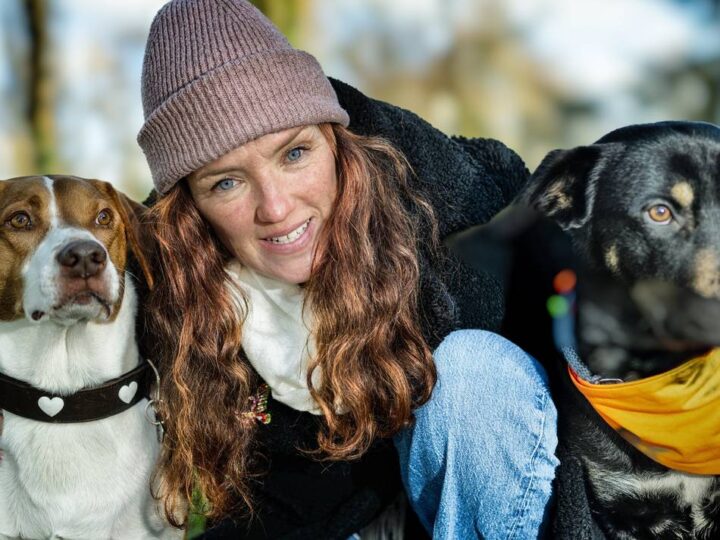 Hundetrainerin Jennifer Connolly: „Silvester ist für Tiere körperlicher Schmerz“