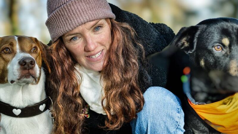 Hundetrainerin Jennifer Connolly: „Silvester ist für Tiere körperlicher Schmerz“