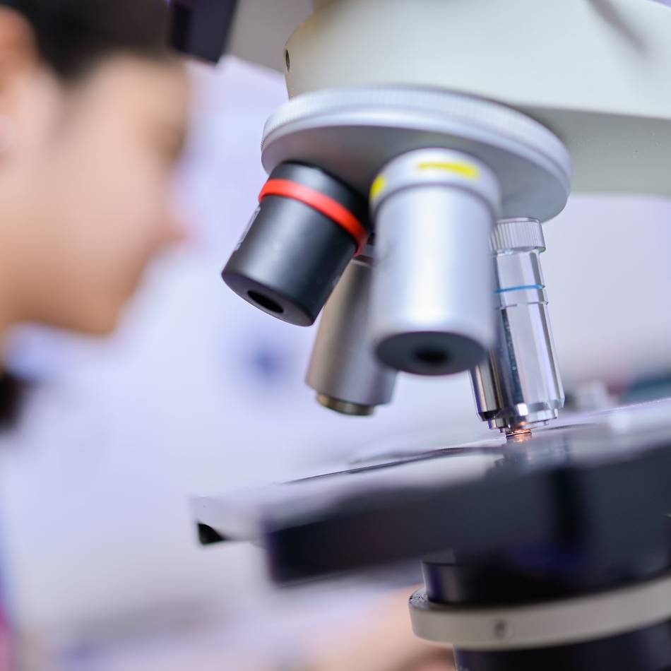 Wissensdrang: Das Größte im Kleinsten entdecken