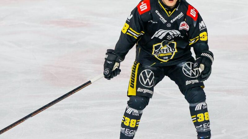 Pinguine-Stürmer Tim Schütz: „Ich bin bereit, jede Rolle anzunehmen, die man für mich vorsieht“