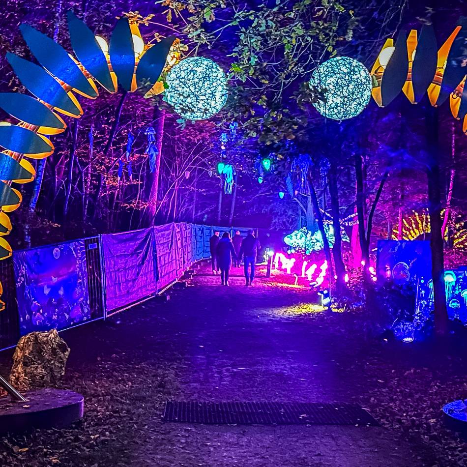 Lichtparks und Zauberwälder: Magische Winterziele für Familien in NRW