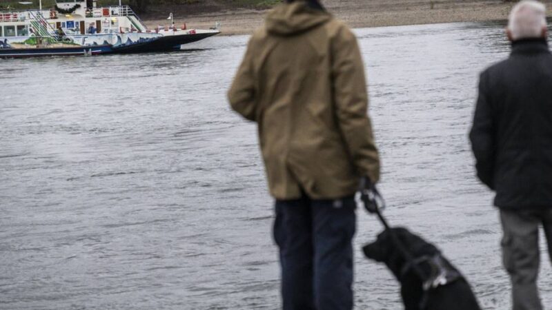 Zwischen Düsseldorf und Meerbusch: „Sie ist eine Institution“ – Tränen beim Abschied von der Rheinfähre