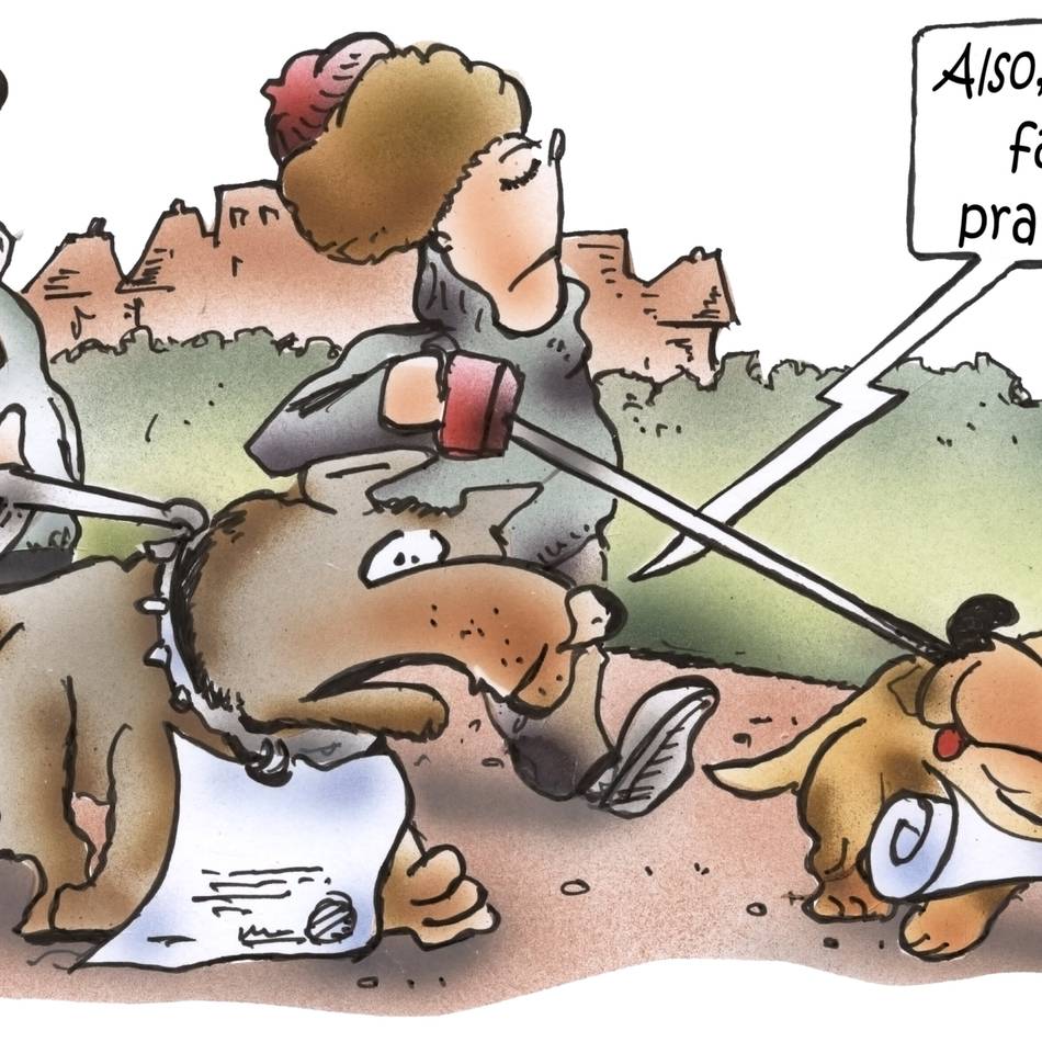 In Dinslaken abgeschafft: Warum Ihr Hund ohne Steuermarke in Misskredit geraten könnte