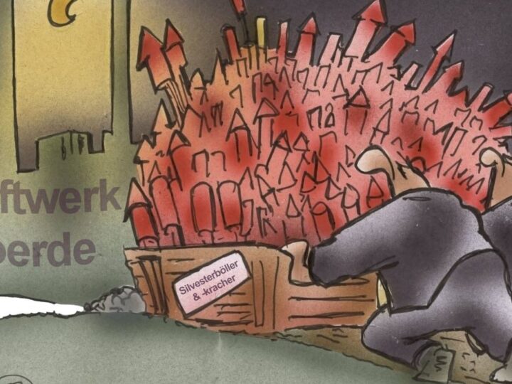 Rückblick: 2025 – ein einziges Feuerwerk großartiger Augenblicke (?)