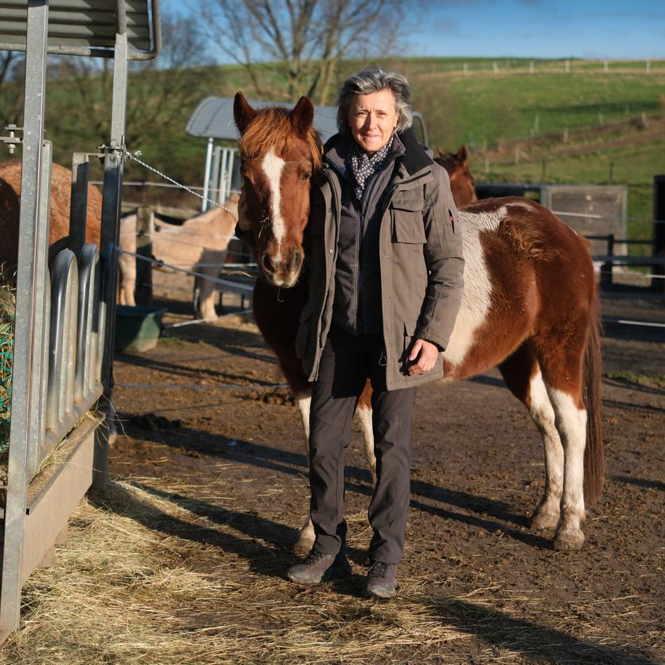 Verein braucht Unterstützung: Pferdesenioren brauchen Hilfe