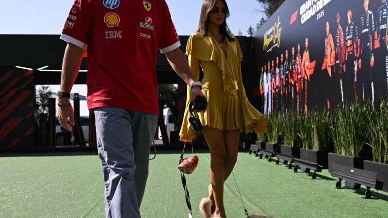 Treue Freunde und Einnahmegaranten: „Tiere funktionieren immer“ – Wie Vierbeiner ihre Sportstars vermarkten