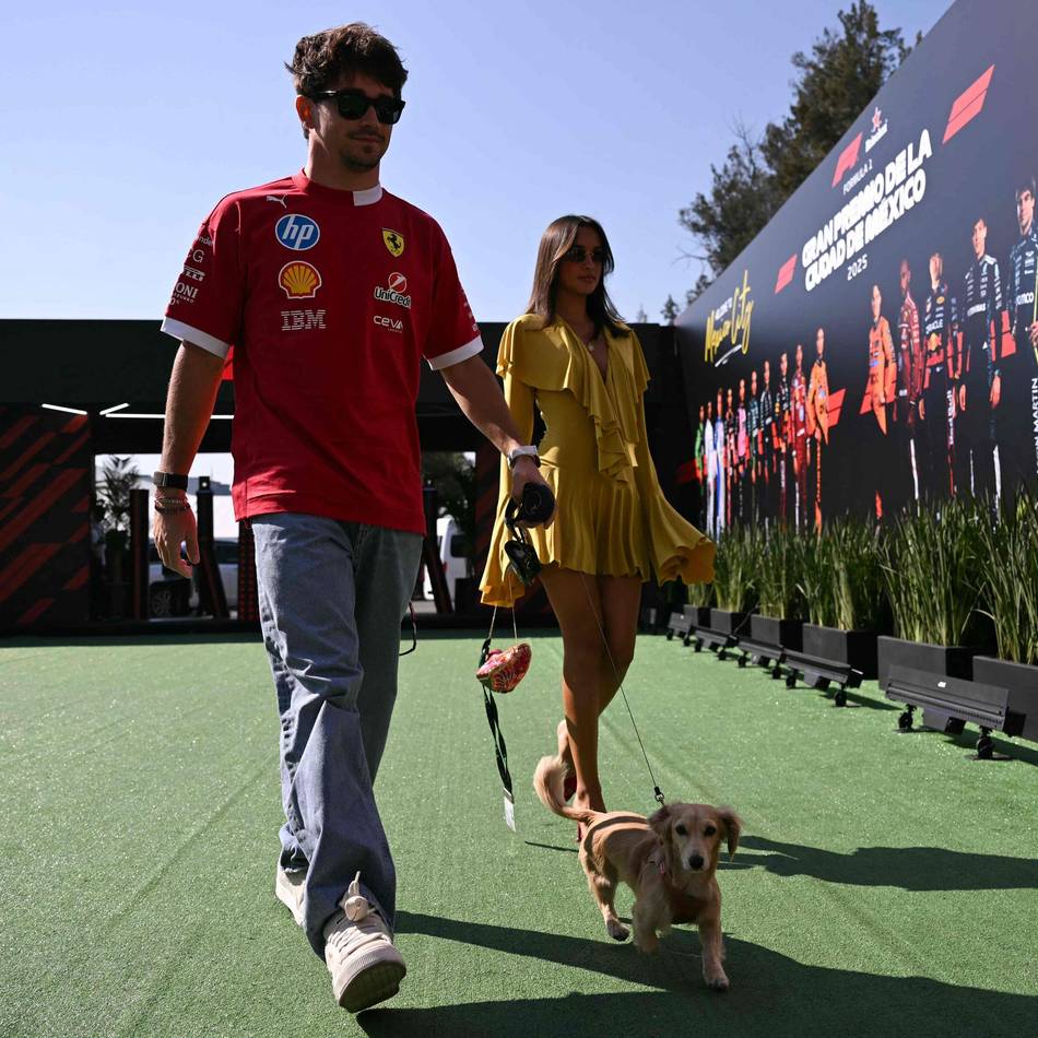 Treue Freunde und Einnahmegaranten: „Tiere funktionieren immer“ – Wie Vierbeiner ihre Sportstars vermarkten