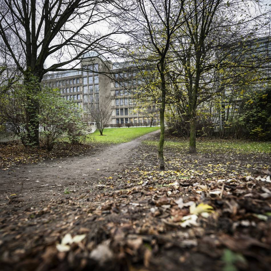 Aus der Bezirksvertretung: „Städtebaulicher Wahnsinn, was da geplant wird“ – Sorge um Oberkassels schwindende Grünflächen