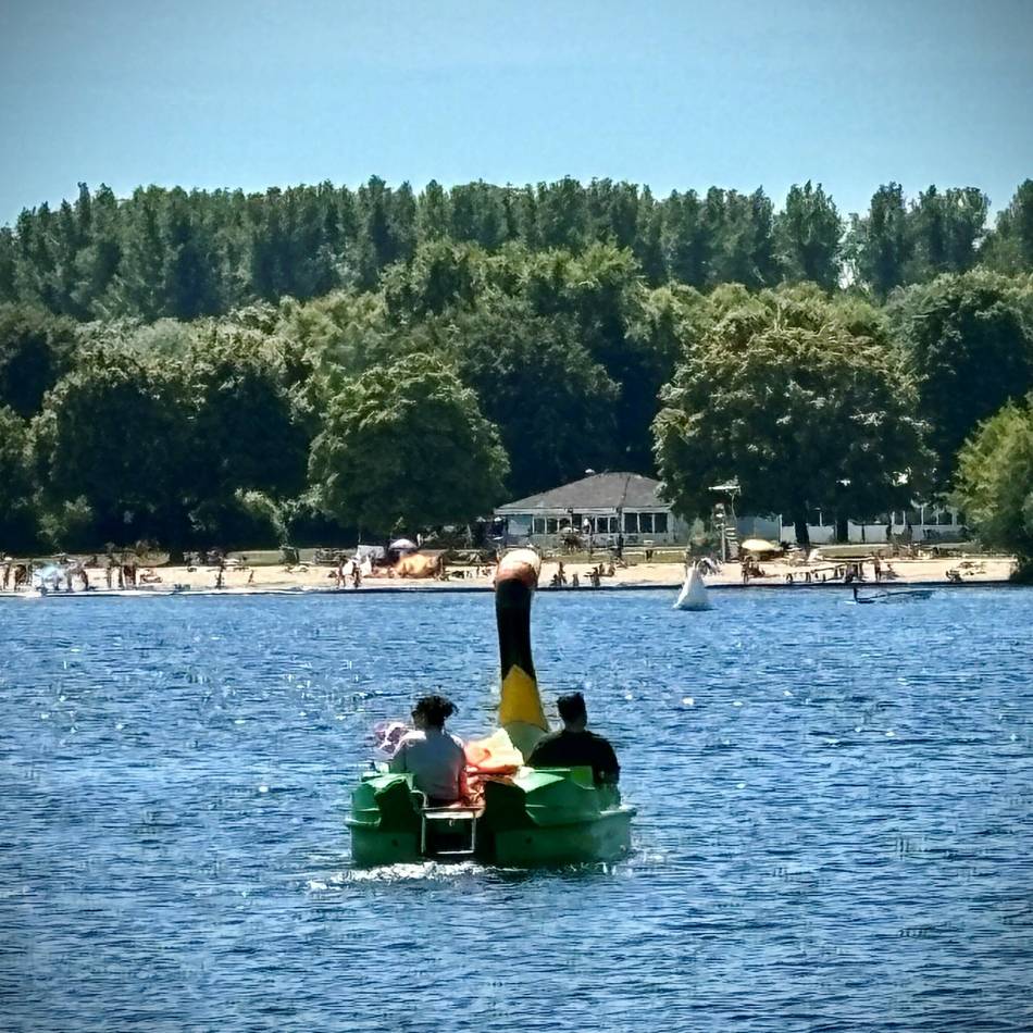 Erholungsgebiet in Düsseldorf: Schwimmen und Parken wird am Unterbacher See teurer