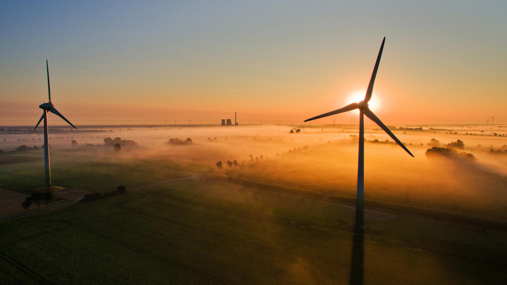 Innovationen und Trends: Diese guten Nachrichten hat 2025 gebracht