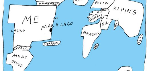 Donald Trump: Wie er sich die Welt vorstellt - Cartoons der Woche